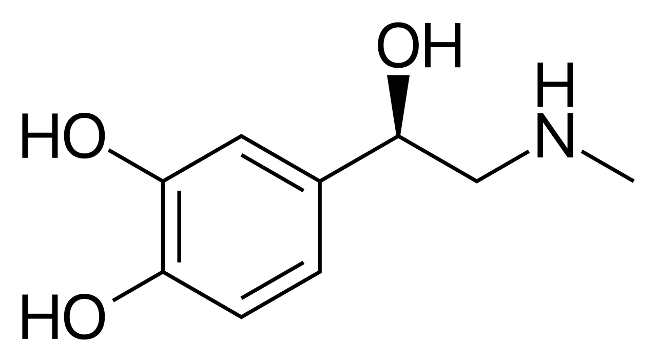 L’adrénaline