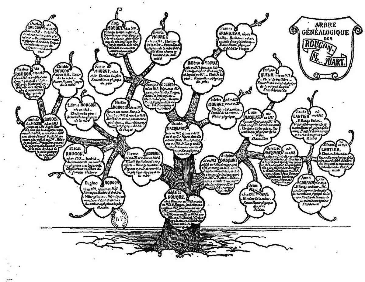 Arbre généalogique de la famille des Rougon-Macquart dessiné par Zola pour structurer son cycle romanesque