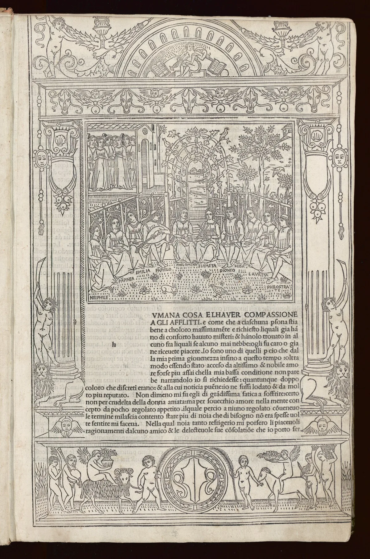 Boccace