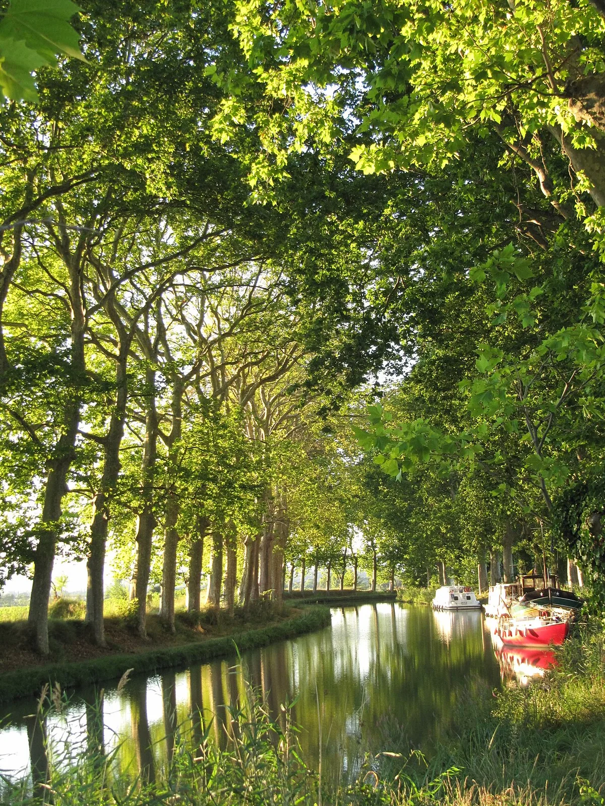 Le canal du Midi