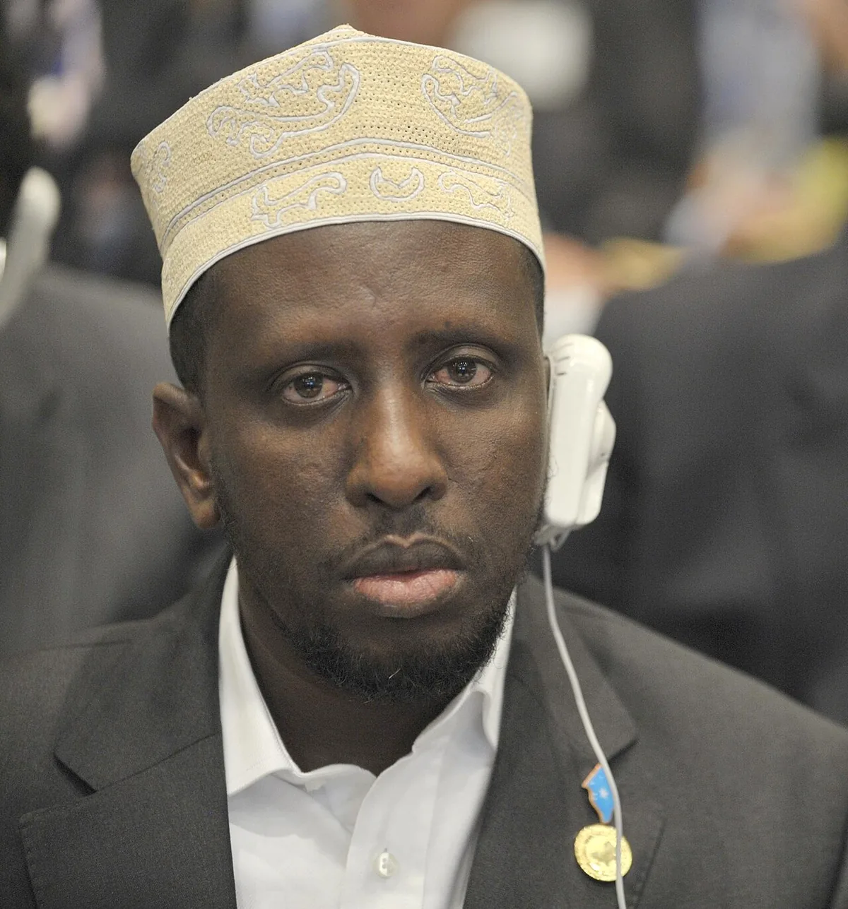 Chefs d'État réunis dans la salle plénière d'un sommet de l'Union africaine à Addis-Abeba