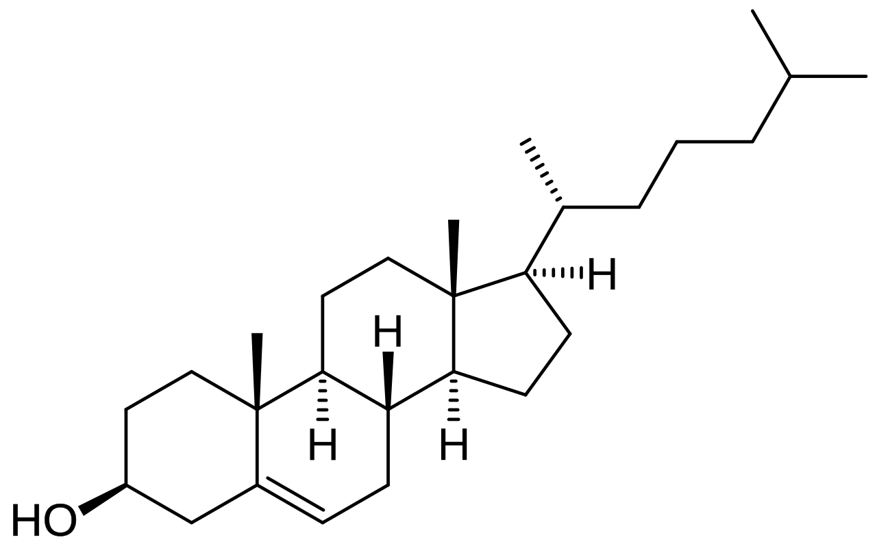 Le cholestérol