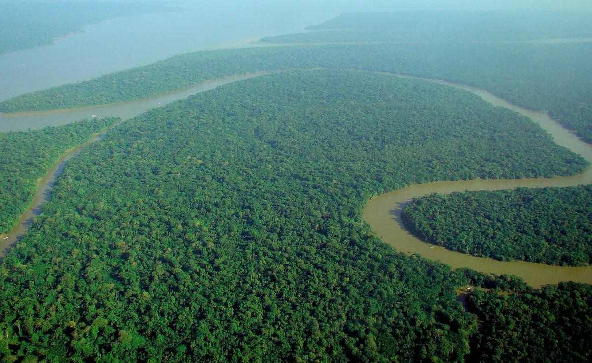 Vue aérienne du fleuve Solimões serpentant comme un serpent géant à travers la forêt amazonienne brésilienne