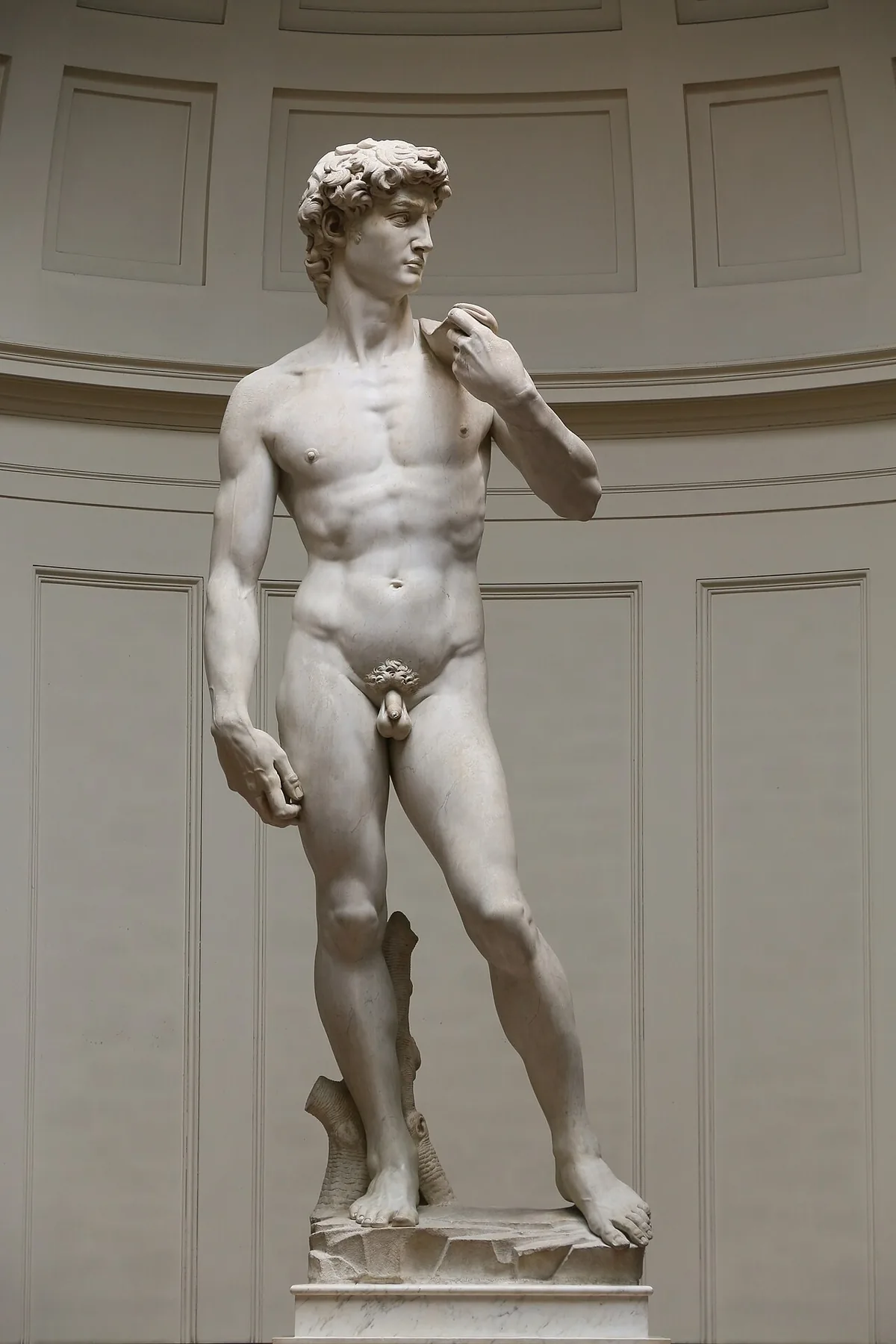 Le David de Michel-Ange en marbre blanc, statue monumentale vue de trois quarts à la Galerie de l'Académie
