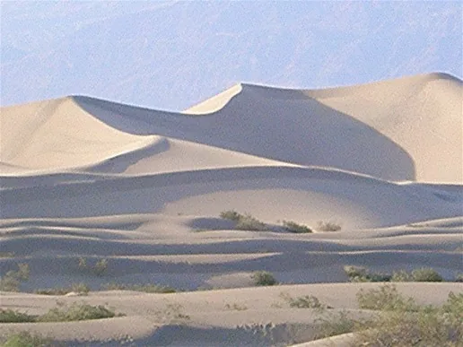 Dune