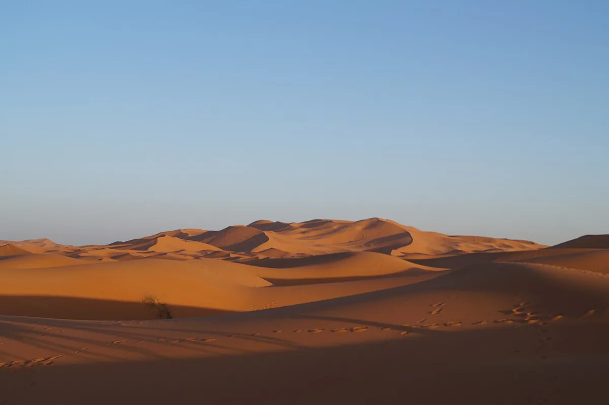 Étendue de dunes du Sahara marocain sous un ciel clair, illustrant l'aridité du plus grand désert chaud