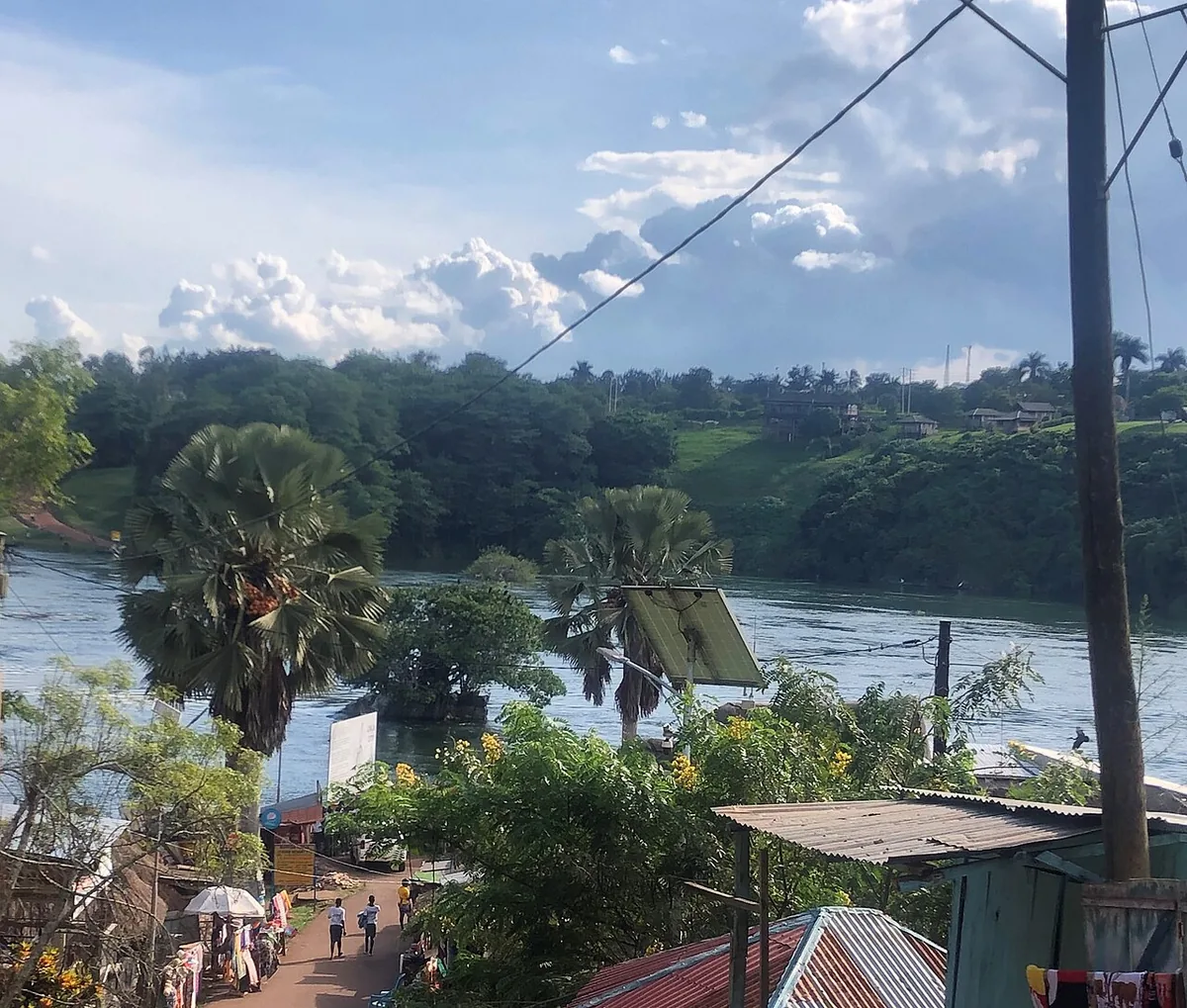 Exutoire du lac Victoria à Jinja en Ouganda, eaux du Nil bordées d’une végétation tropicale dense