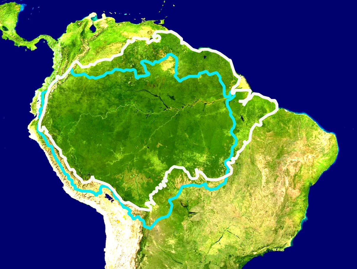 Forêt amazonienne