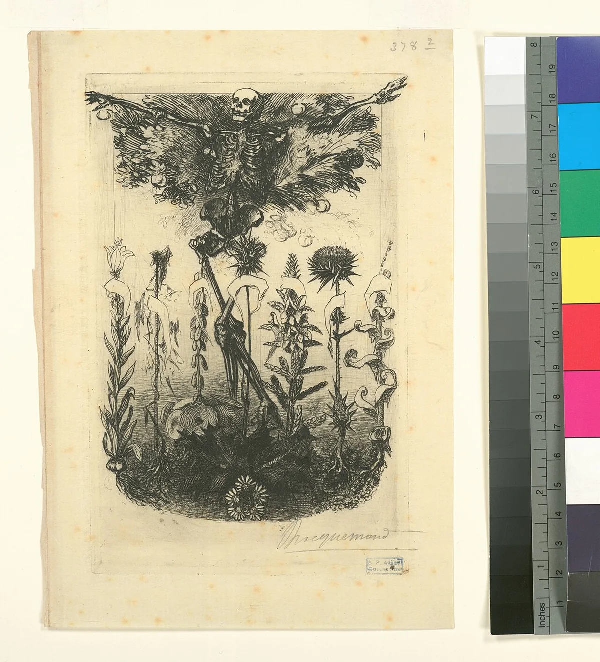 Frontispice gravé inédit pour Les Fleurs du mal de Baudelaire, motif symbolique du recueil censuré