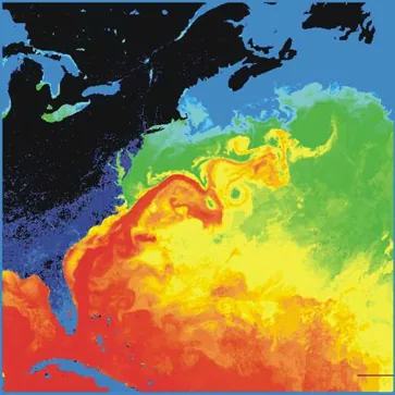 Le Gulf Stream