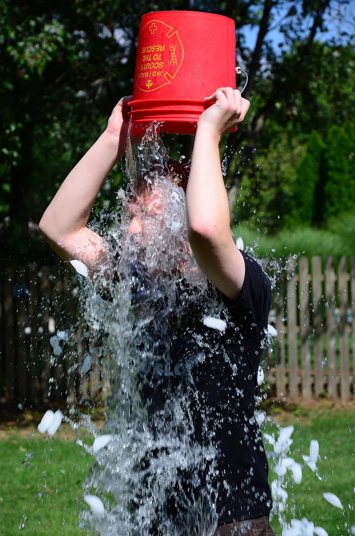 L'Ice Bucket Challenge