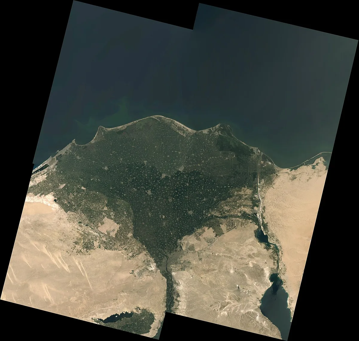 Image satellite Landsat du delta du Nil en Égypte, l'eau noire ramifiée tranchant sur le sable du désert