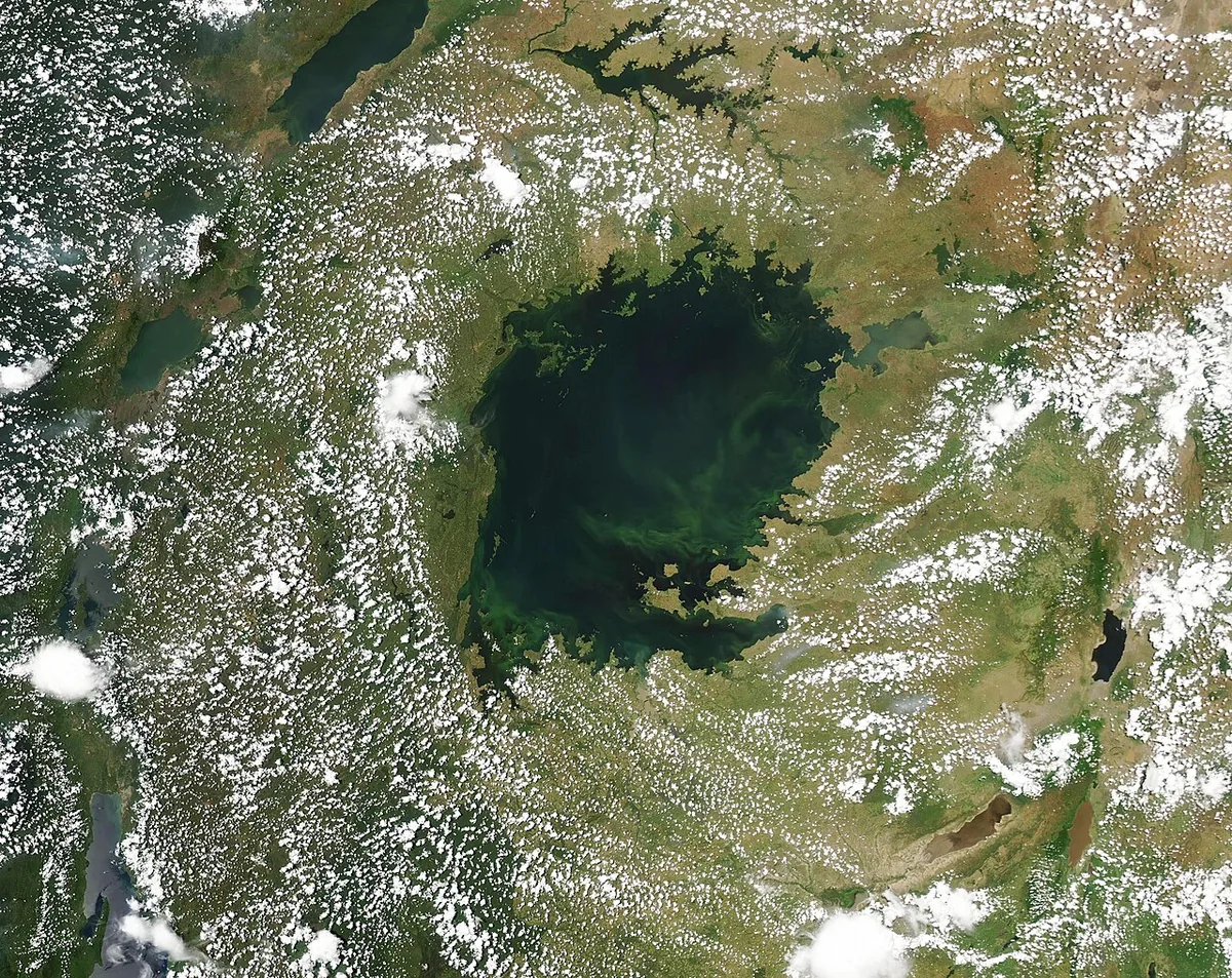Image satellite MODIS 2024 du lac Victoria entre Ouganda, Kenya et Tanzanie, entouré de nuages