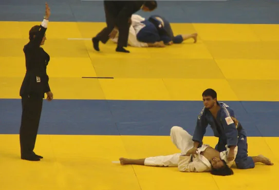 L'ippon