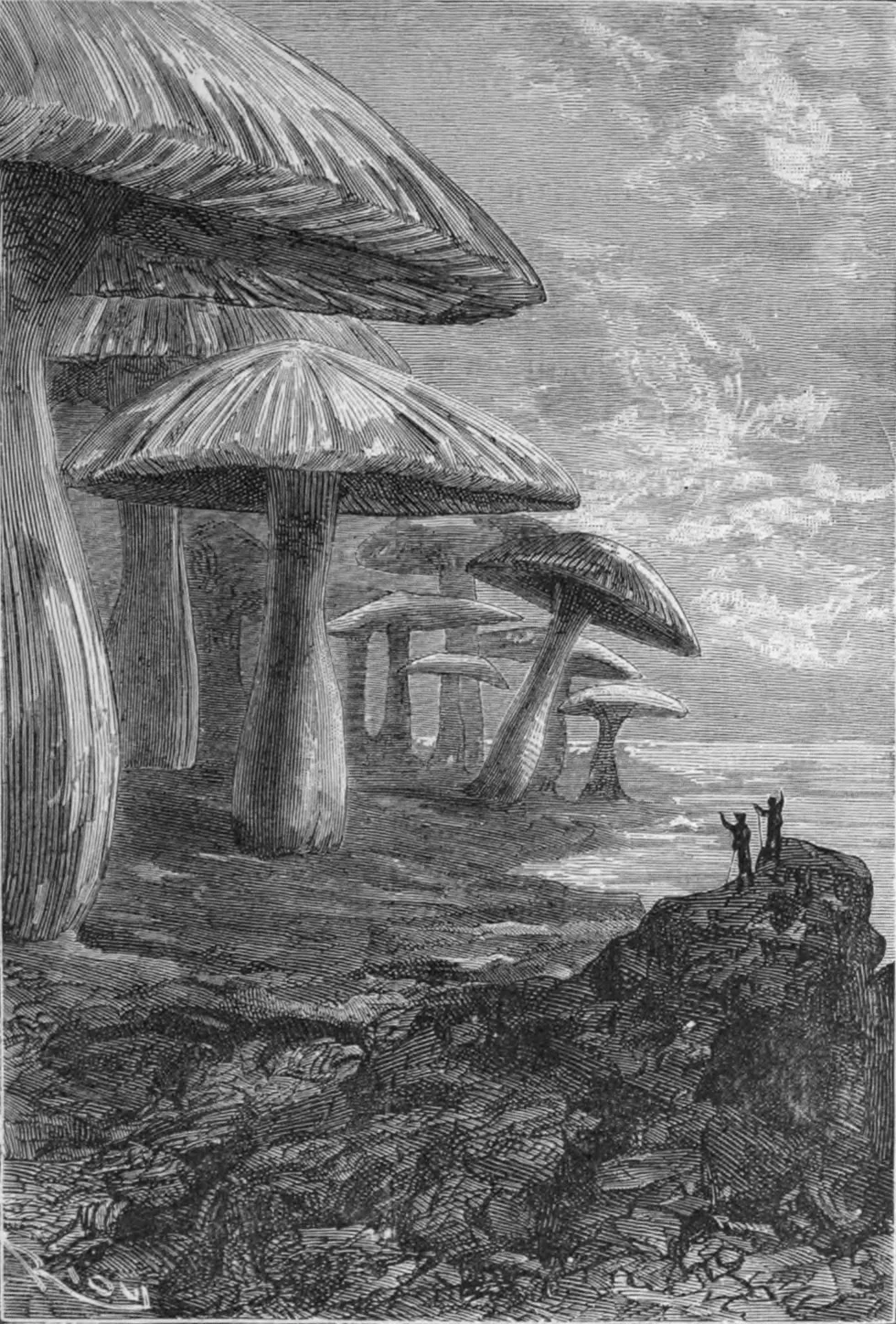 Jules Verne