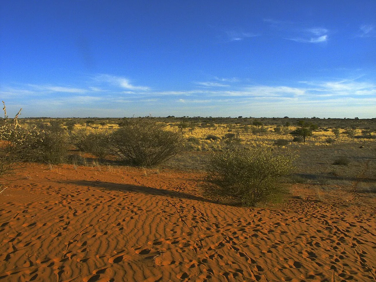 Le Kalahari