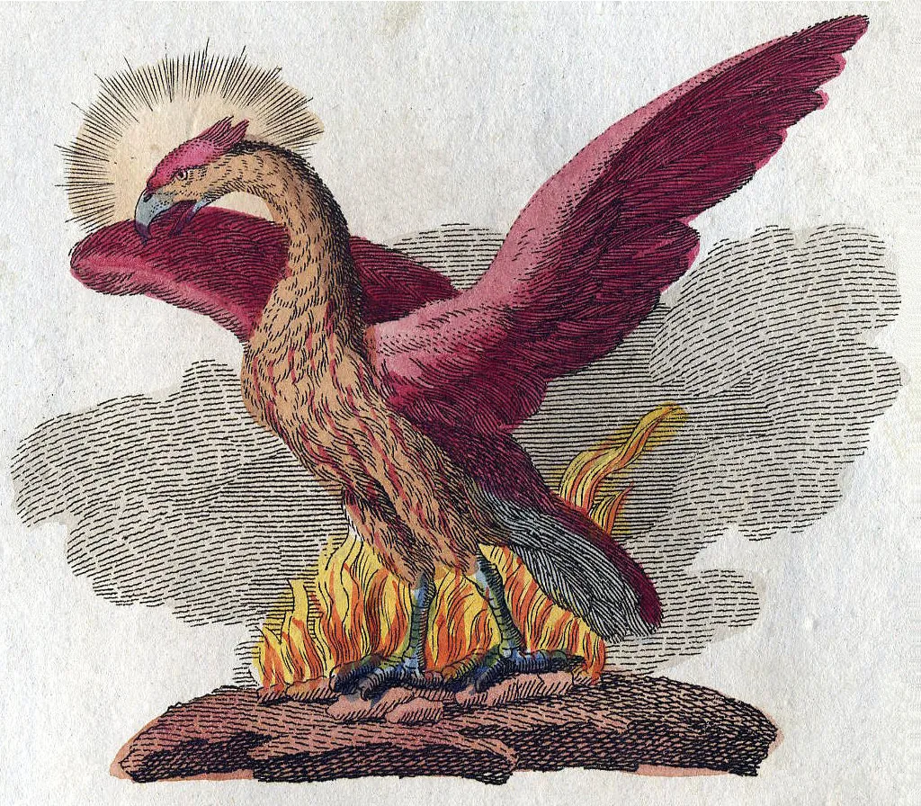 Le phénix