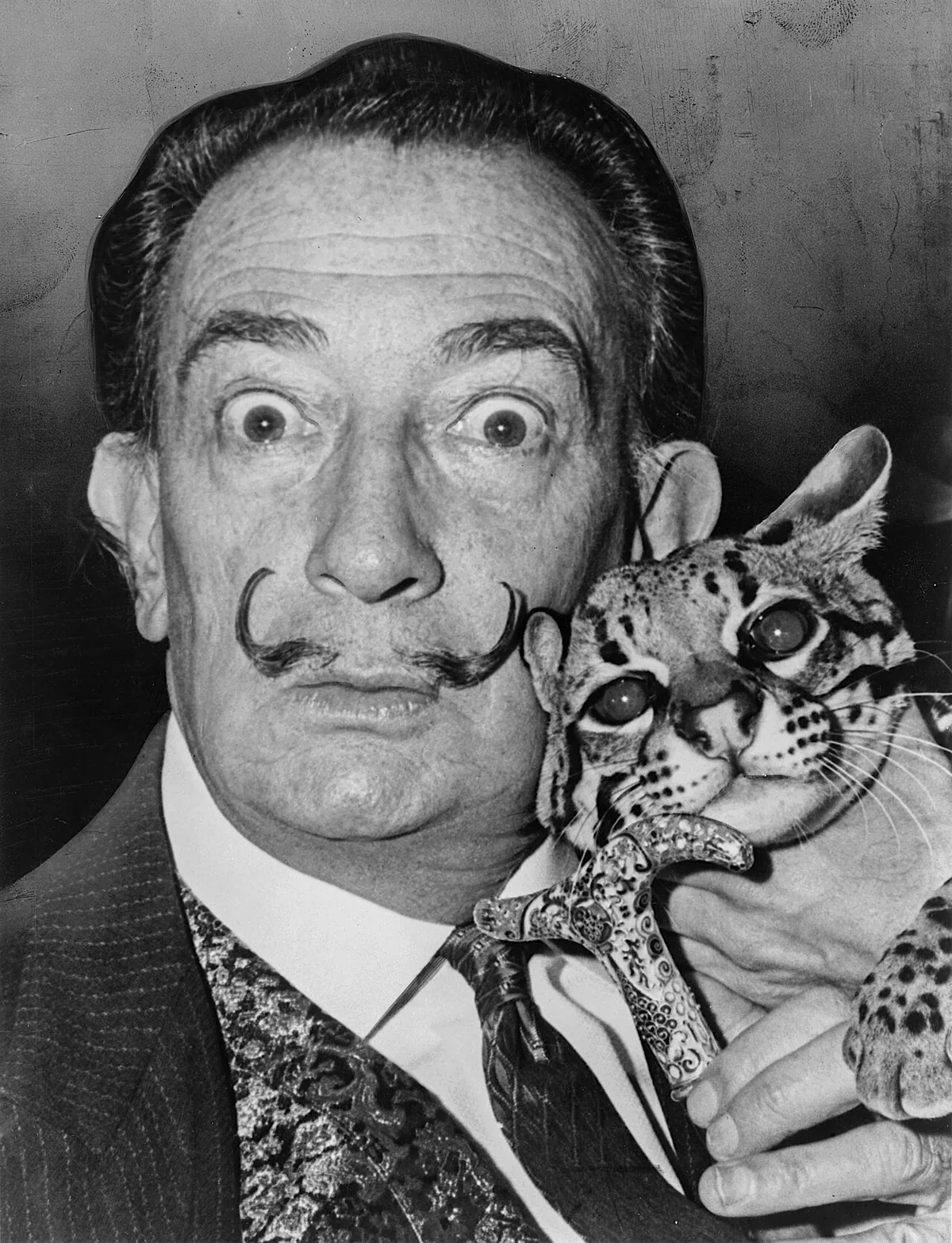 Portrait photographique de Salvador Dalí, moustache effilée caractéristique, années 1960