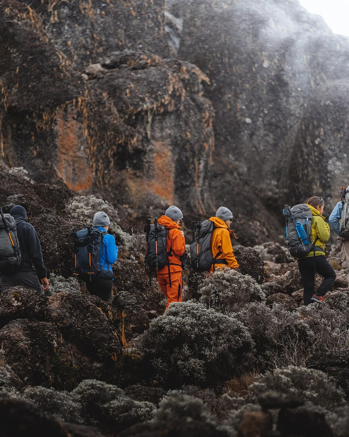 Randonneurs progressant dans la vallée Barranco sur les pentes du Kilimandjaro en Tanzanie