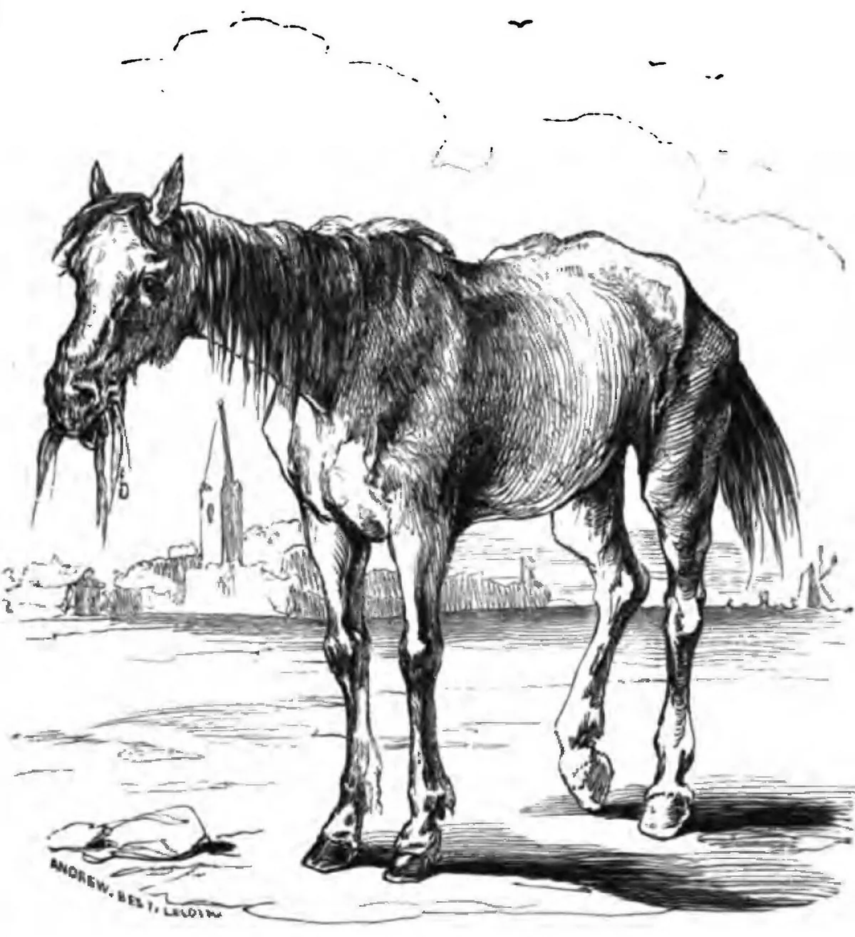 Rossinante