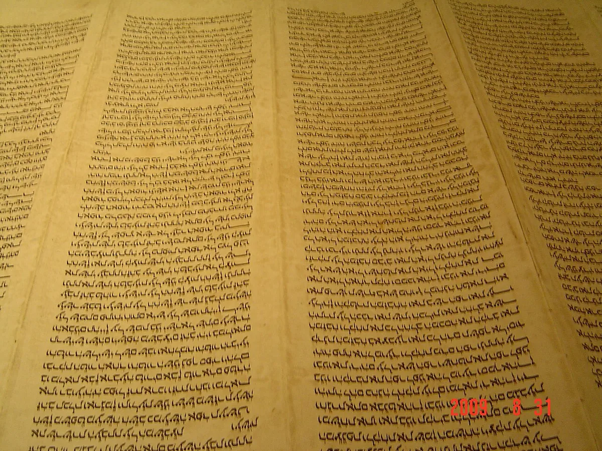 Rouleau de Torah hébraïque ouvert, parchemin manuscrit correspondant au Pentateuque de la Bible