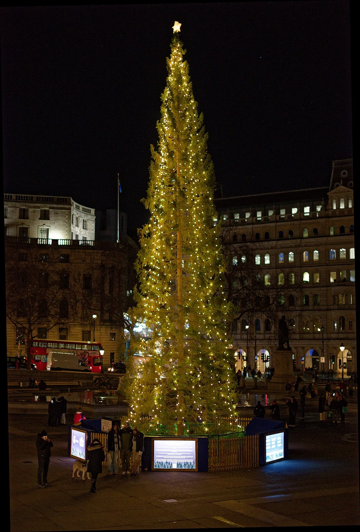 Sapin de Noël norvégien illuminé sur Trafalgar Square à Londres en janvier 2026