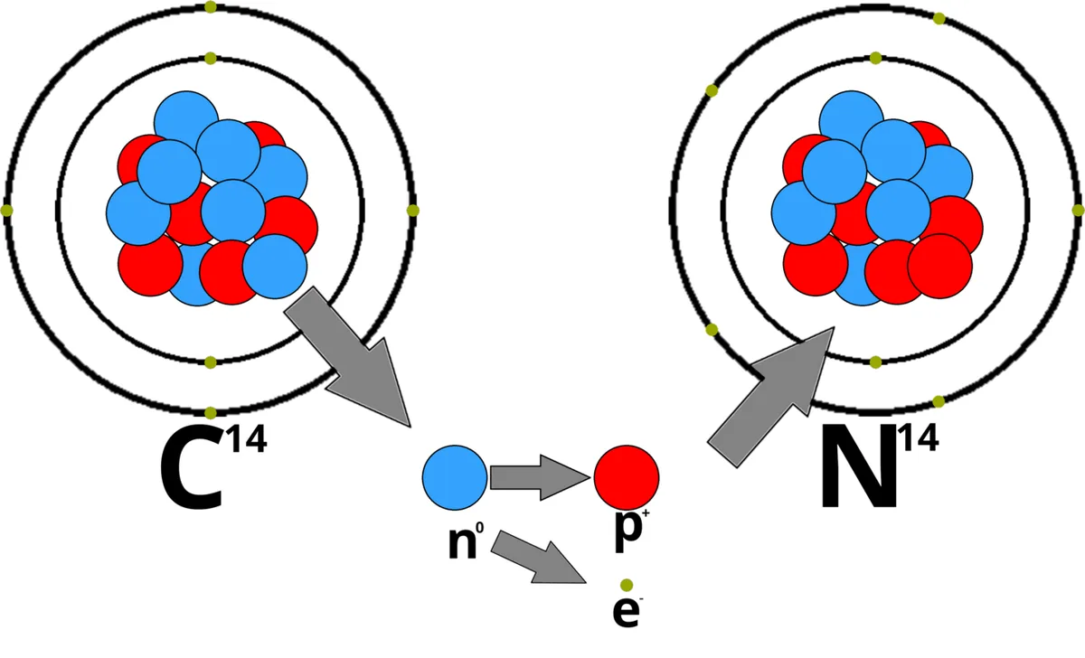 Schéma de la désintégration du carbone 14 en azote 14 par transformation d'un neutron en proton et électron