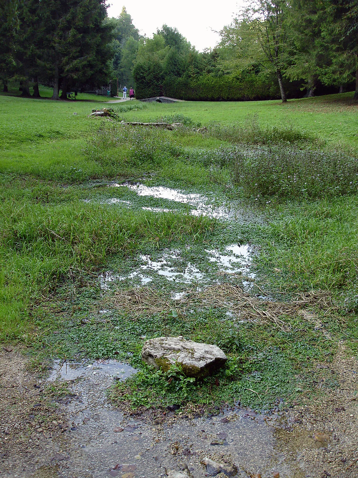Site amenage de la source de la Seine en Cote-d'Or avec le bassin de captage et la grotte