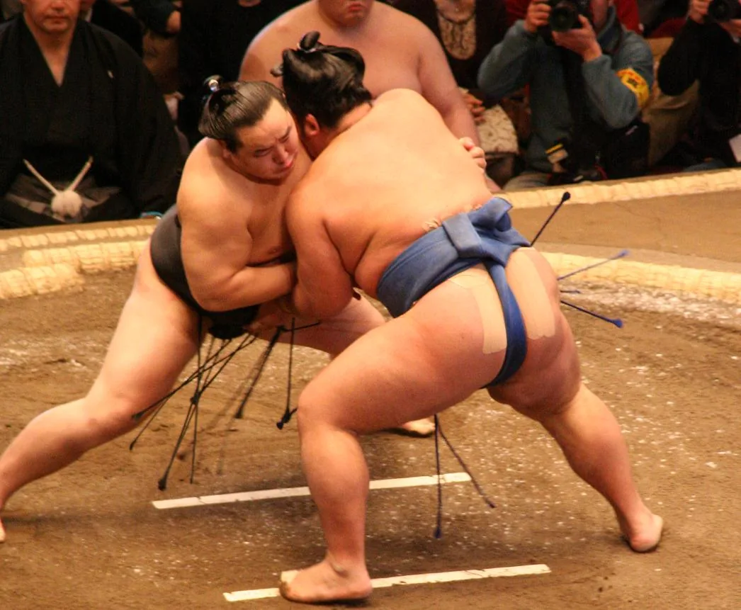 Le sumo