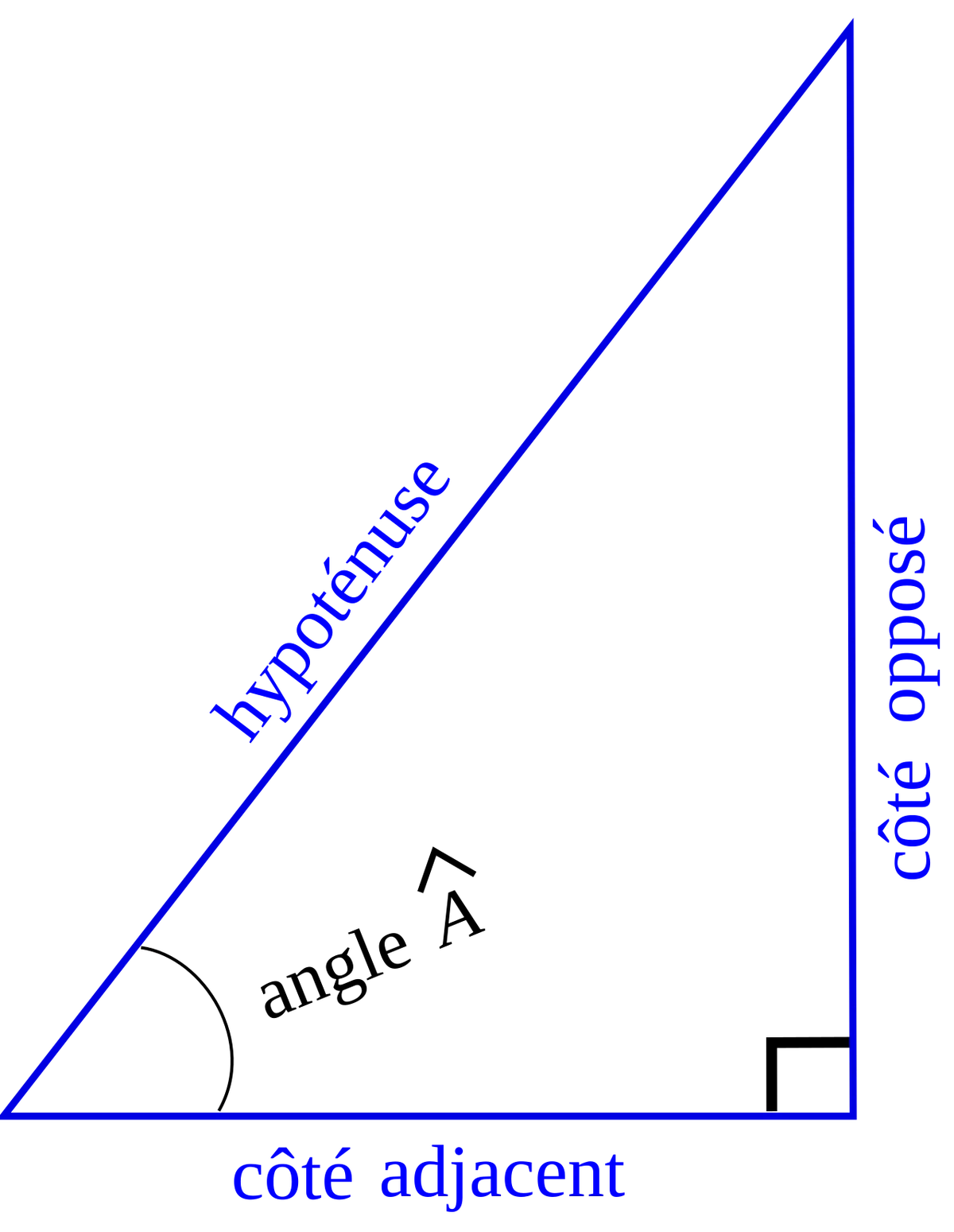La trigonométrie