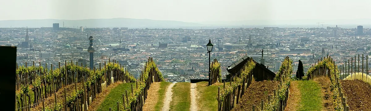Vignobles du Nussberg dominant Vienne avec panorama urbain en arrière-plan