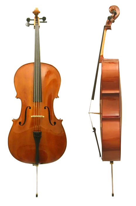 Le violoncelle