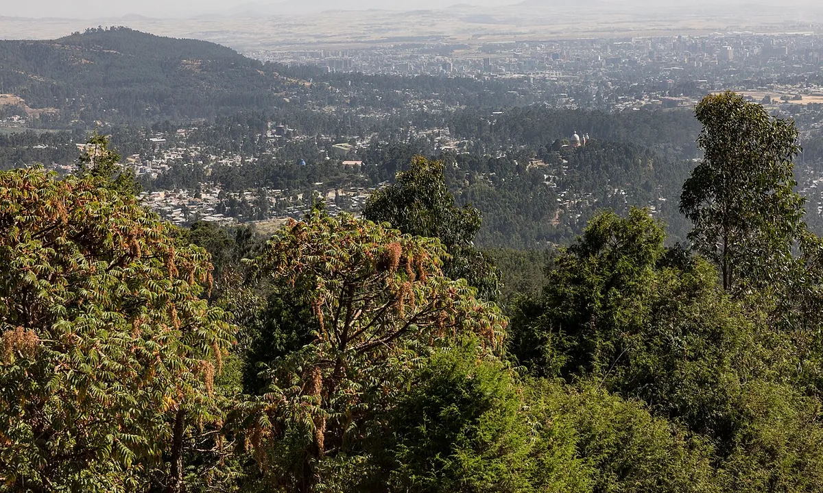 Vue panoramique d’Addis-Abeba depuis les hauteurs d’Entoto au nord de la ville
